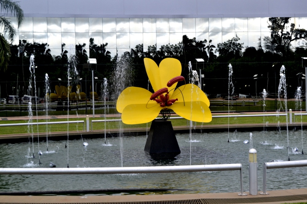 "Una flor especial" de Fernanda Ferrari (fer)