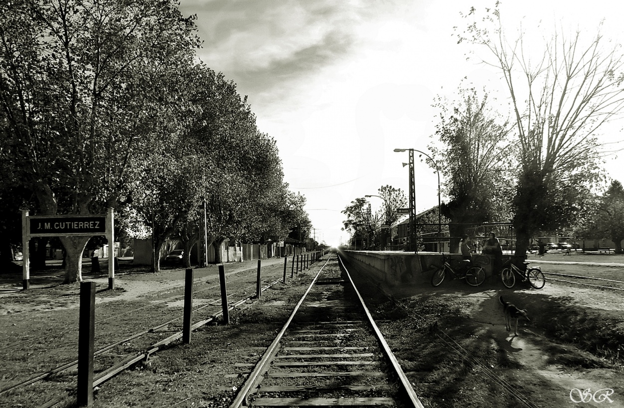 "Esperando la llegada del tren" de Silvia Rodrigo