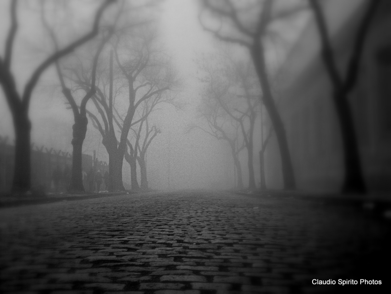 "Misty" de Claudio Spirito