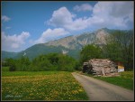 Caminos Eslovenos