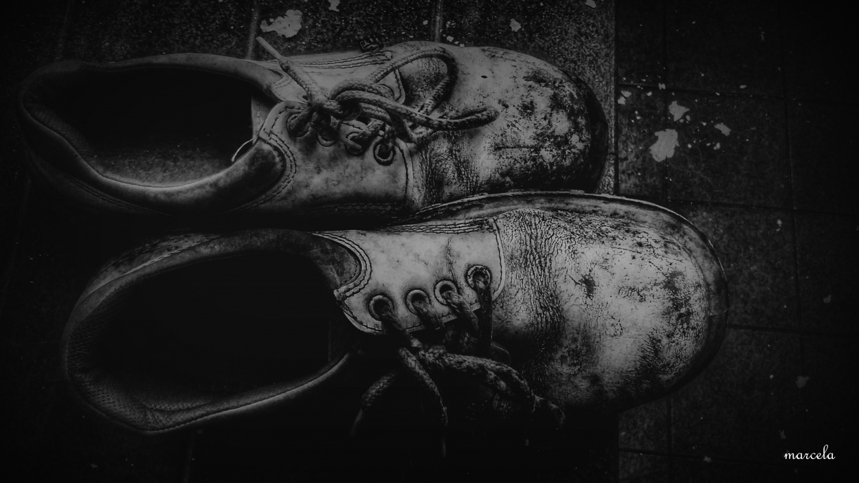 "Los zapatos..." de Marcela Maciel