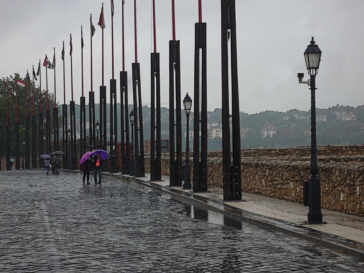 "Calle de Budapest un da lluvioso" de Ricardo S. Spinetto