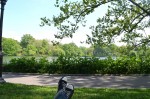 Tarde de meditacon en el Central Park NYC