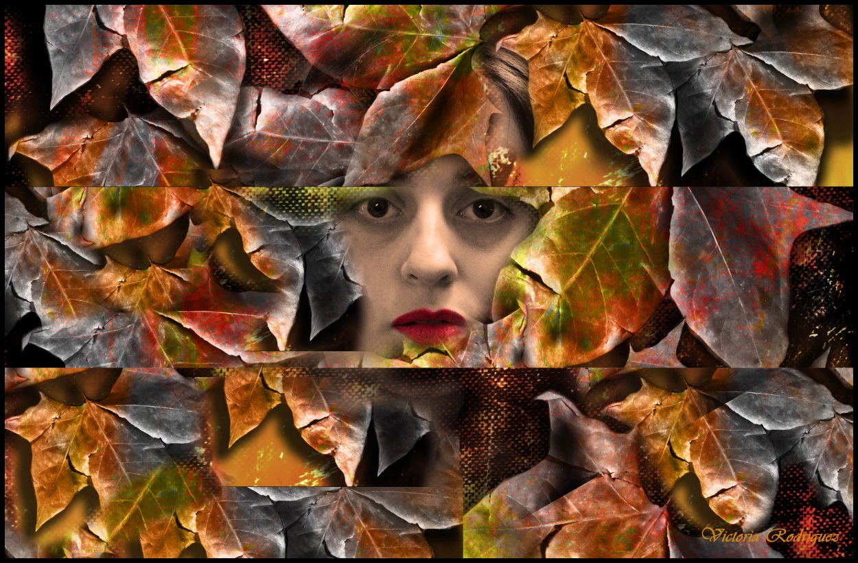 "Entre hojas" de Victoria Elisa Rodriguez