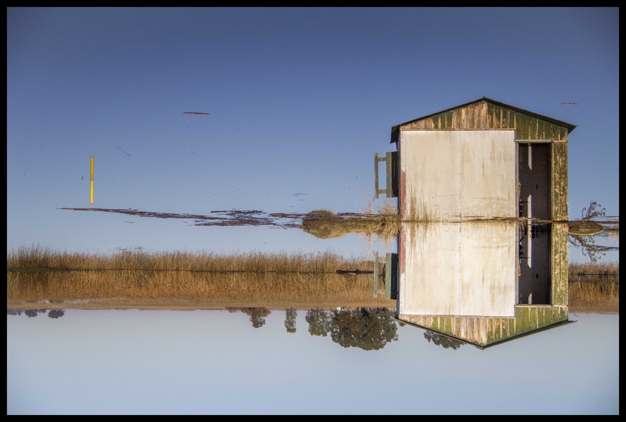 "Casa en el agua" de Ricardo Wychlo