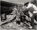 Vendedor de carne en Boyaca