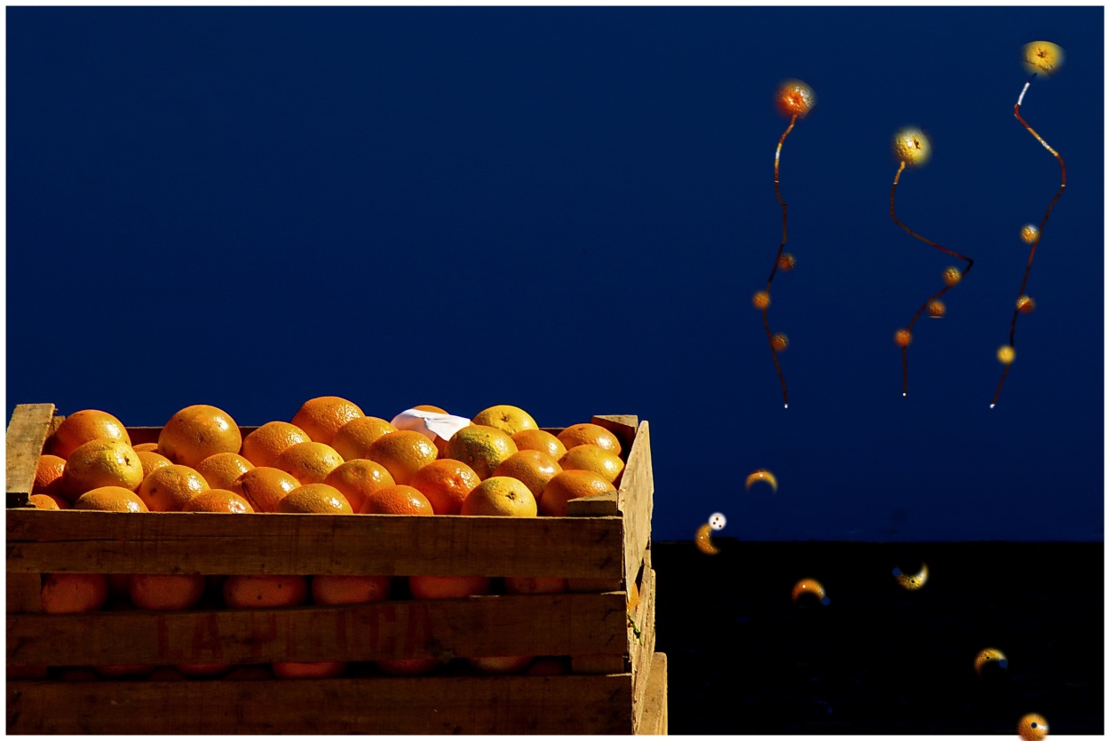 "Naranjas paranoicas" de Cristian de Los Rios