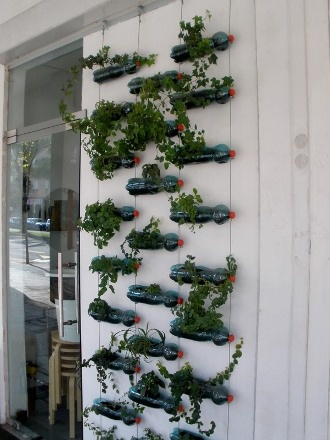 "plantas en botella de plastico" de Tzvi Katz