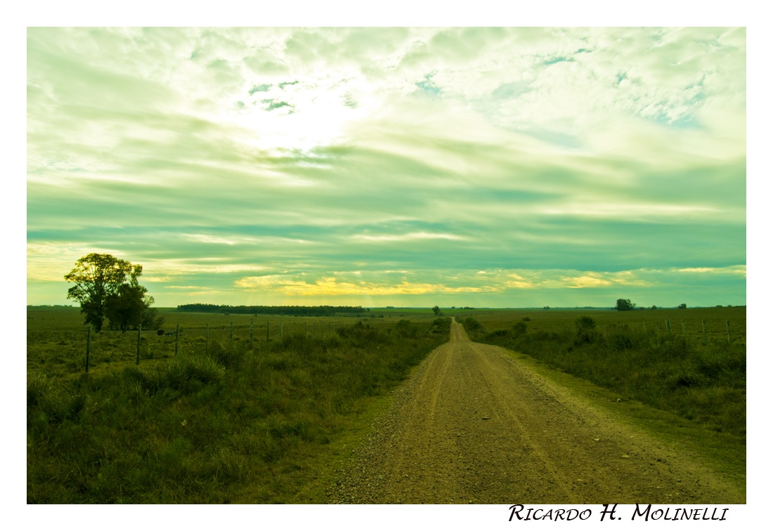 "Camino buscando horizonte" de Ricardo H. Molinelli