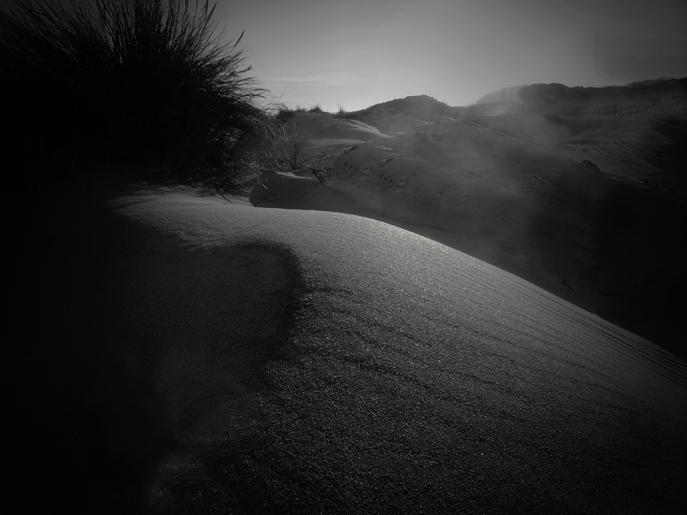 "la duna" de Lidia Gonzalez