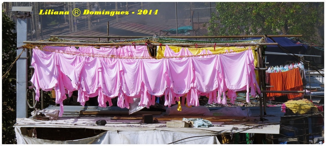 "Camisas rosas al sol" de Liliana Dominguez