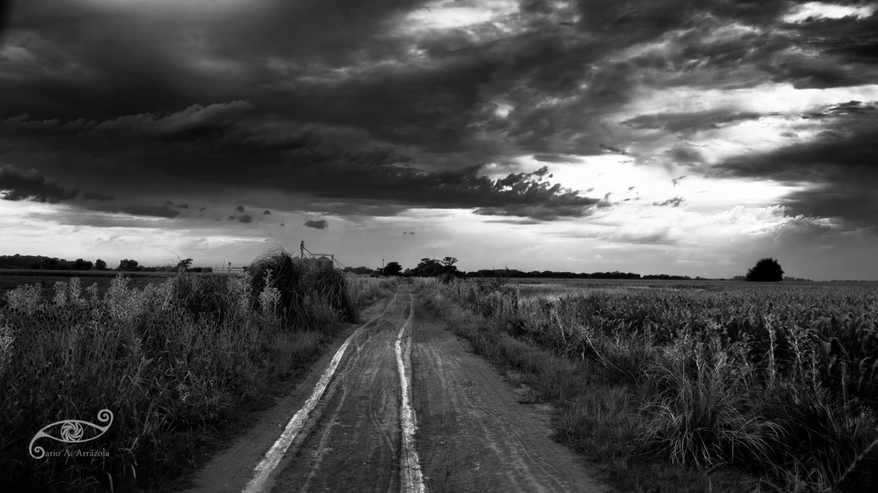"Caminos" de Dario A. Arrazola