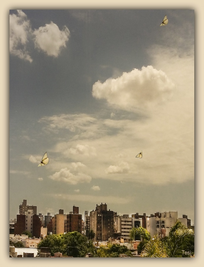 "Mariposas urbanas." de Tesi Salado