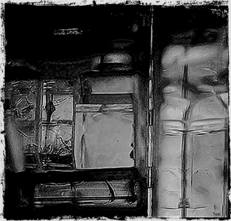 "Buscando la abstraccin" de Tesi Salado