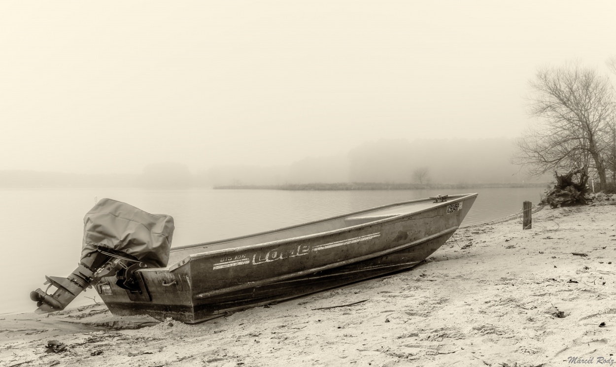 "In a foggy day" de Marcello Rodriguez Puebla