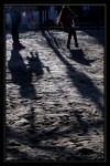 Sombras En La Plaza