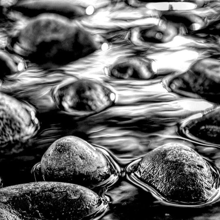 "`Piedras en el Lago`" de Jos D. Alberca