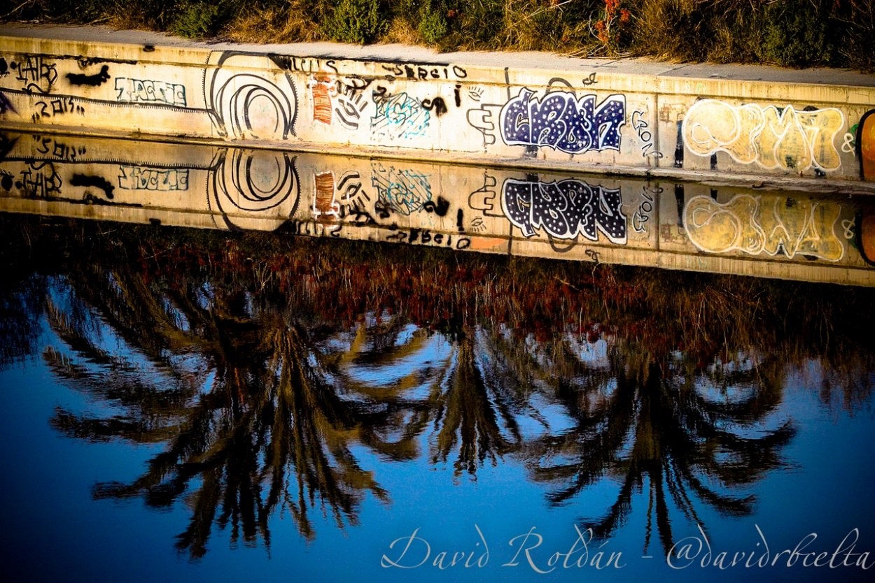 "urban reflections" de David Roldn