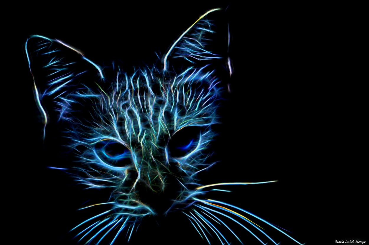 "Un gato brillando..." de Maria Isabel Hempe