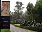 La mirada de don Rivera en el museo Dolores Olmedo