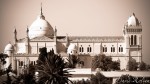 Amazing Tunis 448