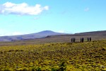 Meseta patagonica