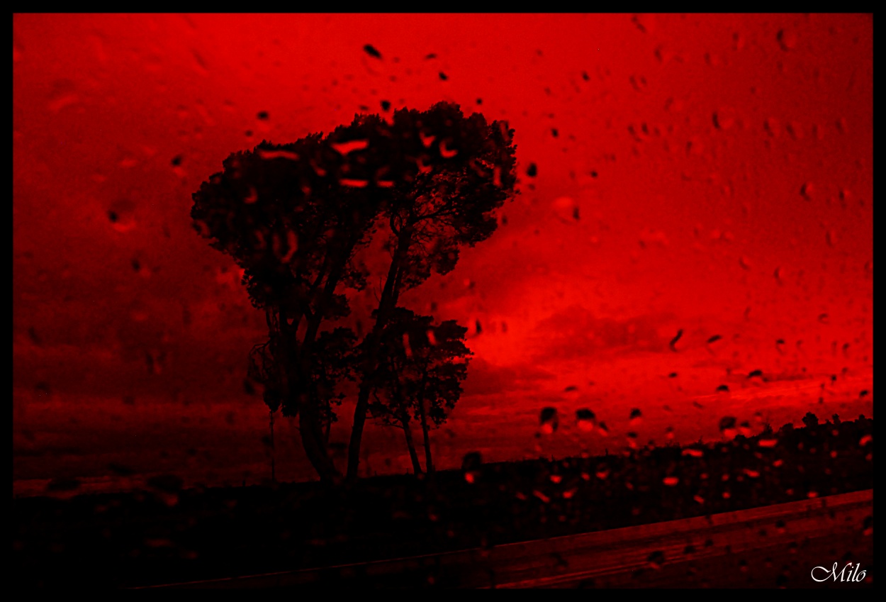 "lluvia..." de Emilio Casas (milo)
