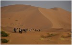 camino porlas dunas