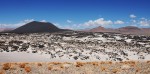 Antofagasta de la sierra