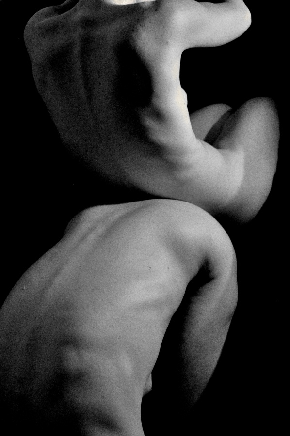 "torsos" de Diego Gerardo Gonzalez