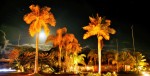 La noche de las palmeras