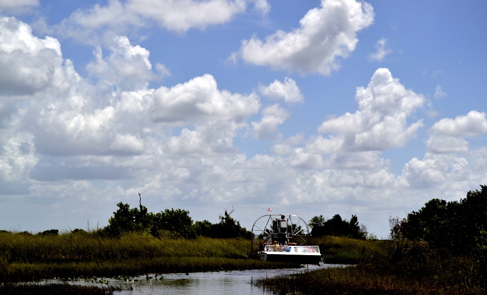 "Un paseo por Los Everglades" de Fernanda Ferrari (fer)