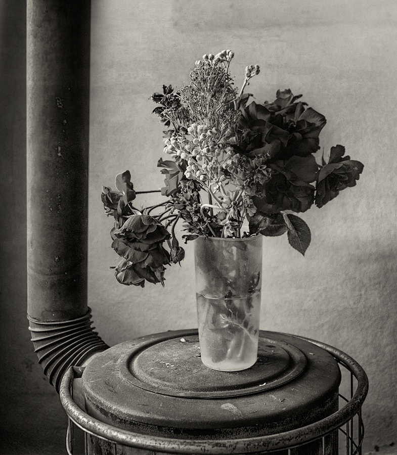 "Vaso con flores encima de una estufa" de Francisco Jos Cerd Ortiz