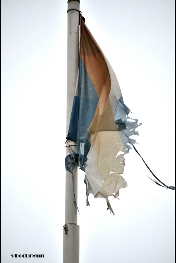 "La bandera" de Juan Jos Braun