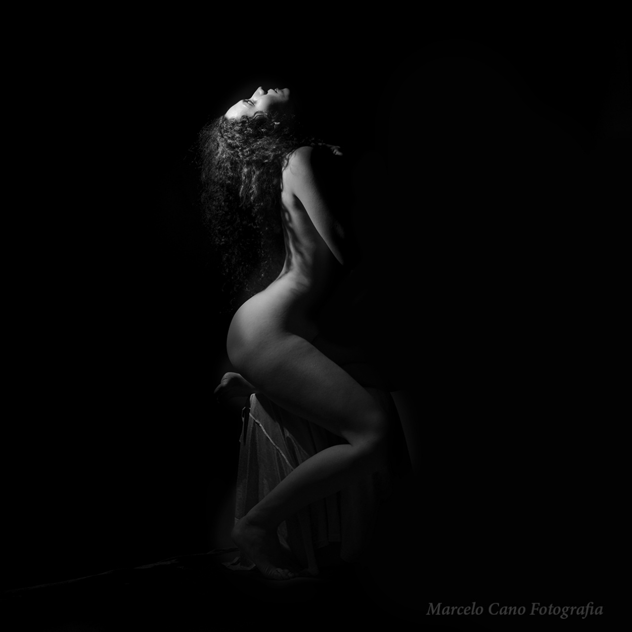 "Modelando ,en bajas luces.." de Marcelo Nestor Cano