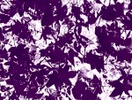 Violetas hojas de otoo