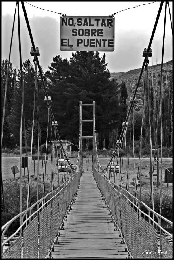 "El Puente" de Adrian Pons