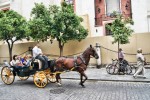 Paseo a caballos por Sevilla