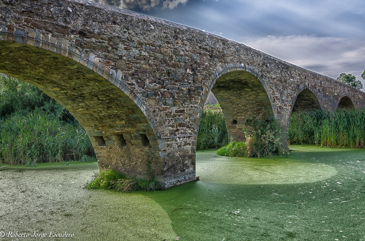 "Viejo puente en Gualta" de Roberto Jorge Escudero