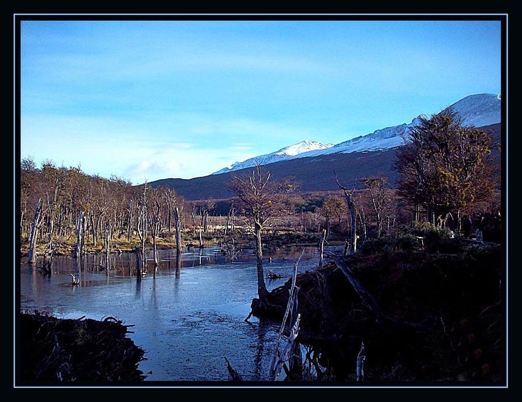 "Paisaje patagnico" de Arturo H. Pea