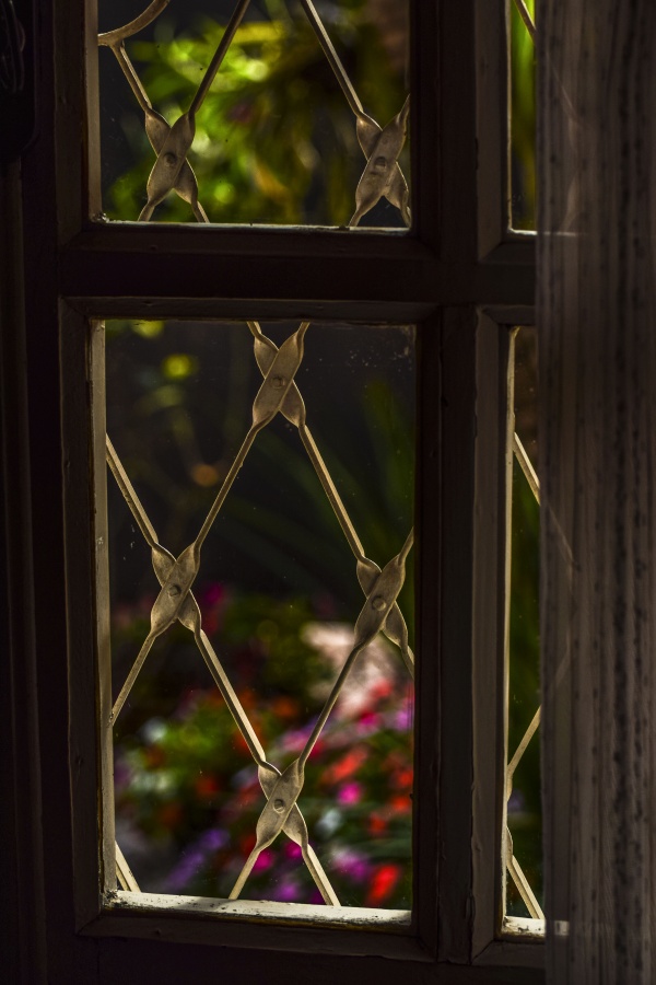 "Detrs de la ventana" de Adriana Claudia Gallardo
