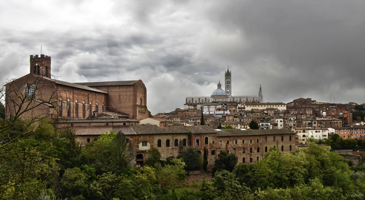 "Siena antes de la lluvia" de Viviana Genta