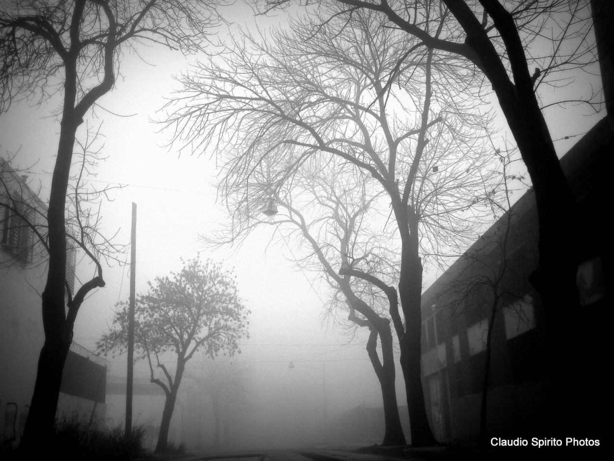 "in the fog" de Claudio Spirito