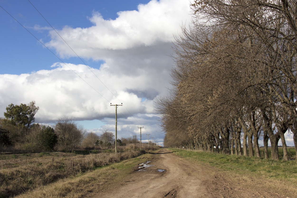 "Camino rural II" de Natalia Harosteguy