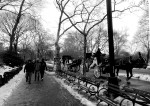 Nevando en el Central Park