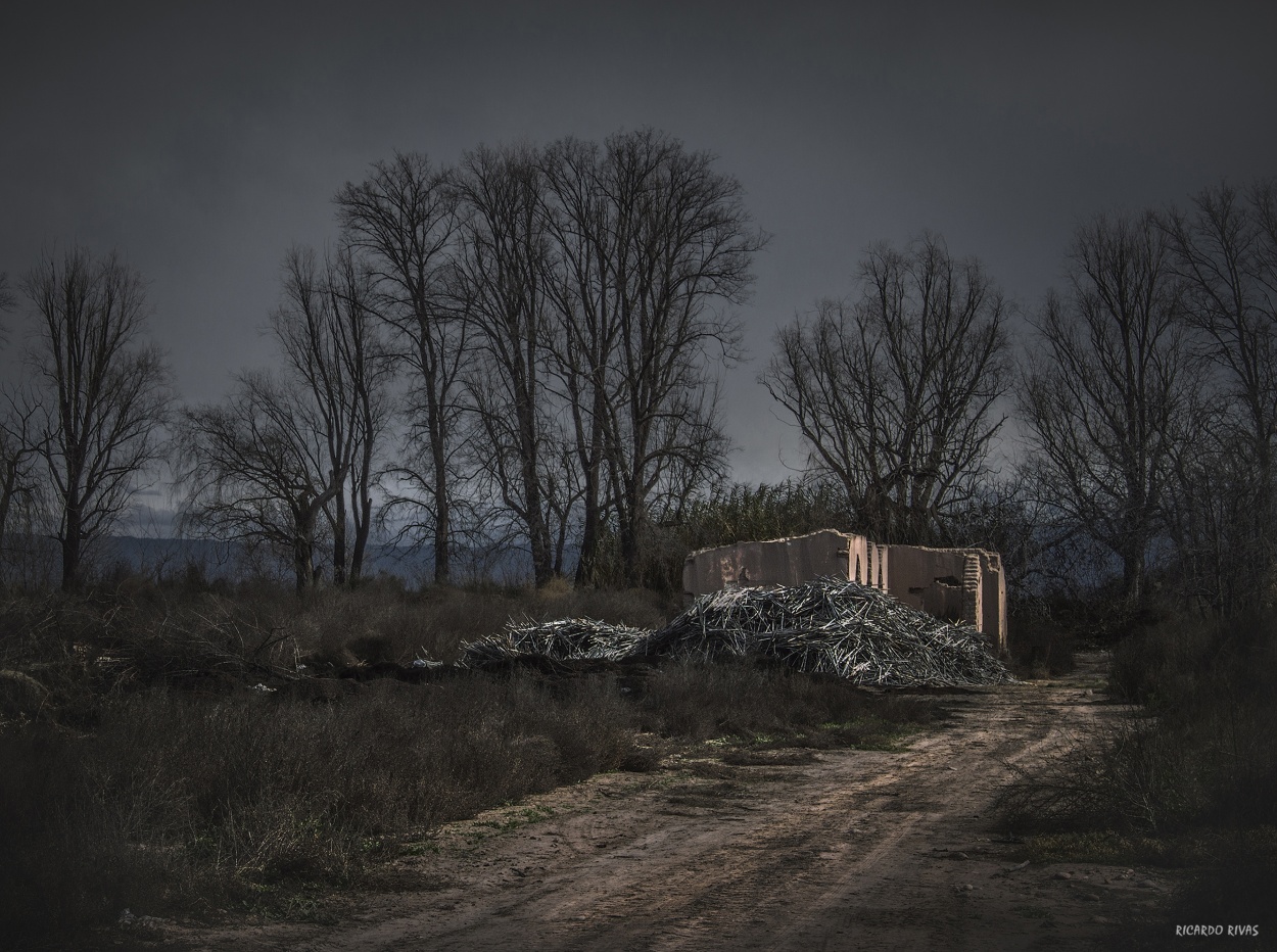 "`Ruinas en Perdriel`" de Ricardo Rivas