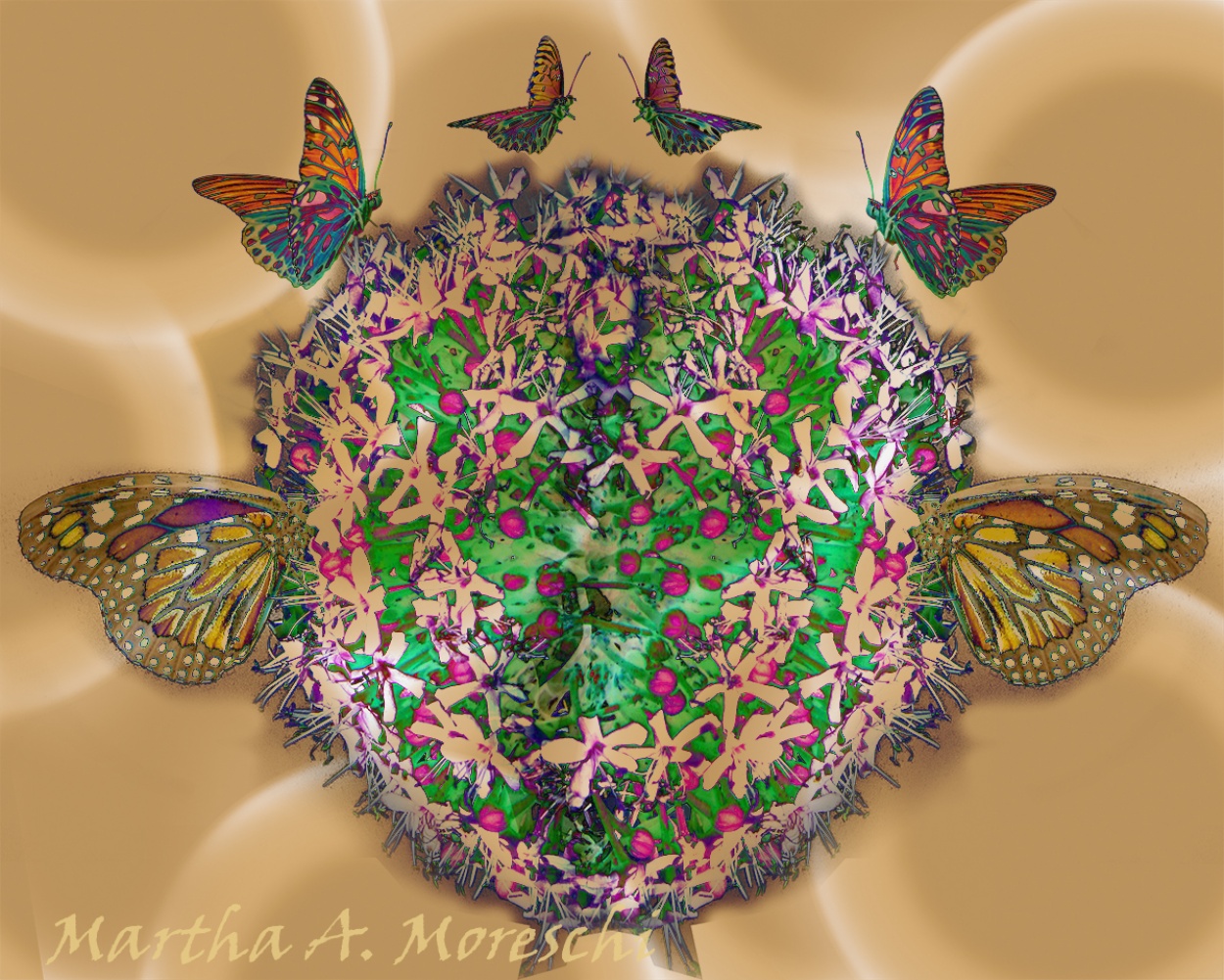 "Mundo mariposa" de Martha A. Moreschi