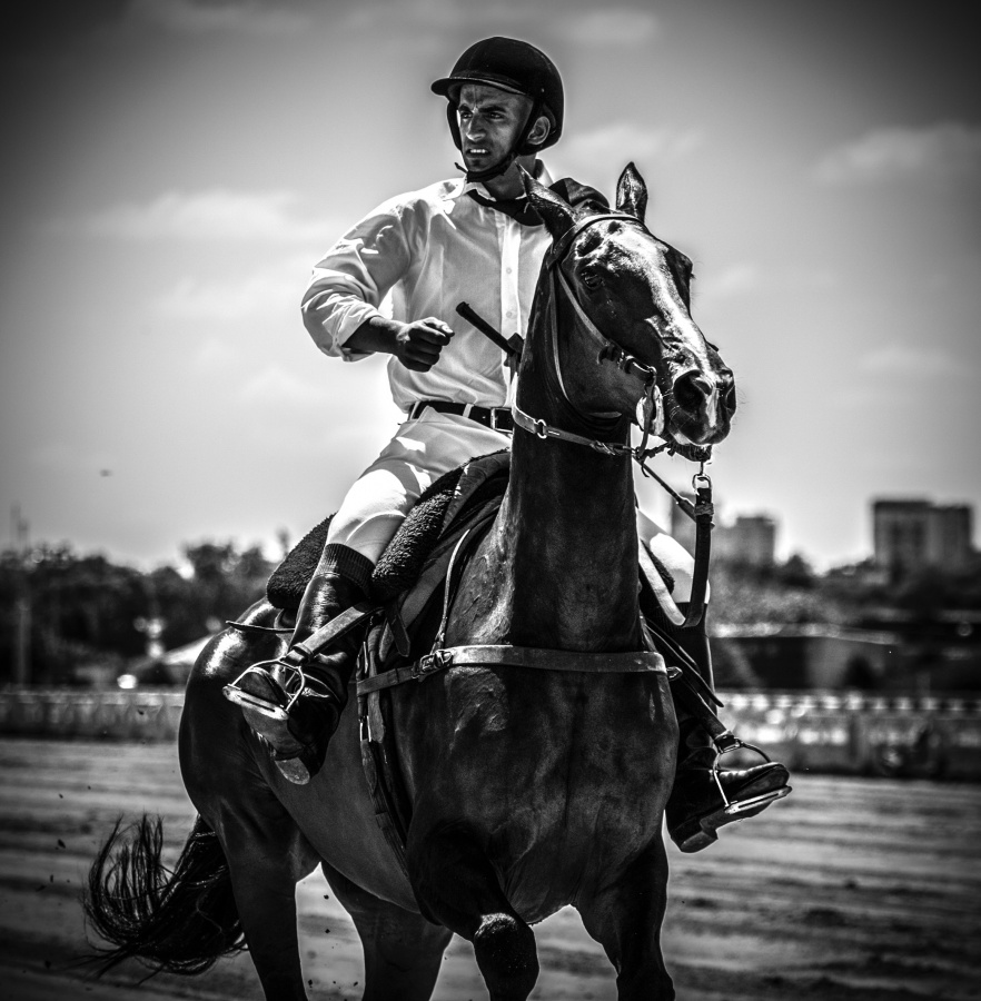 "Horse rider" de Gustavo Salguero