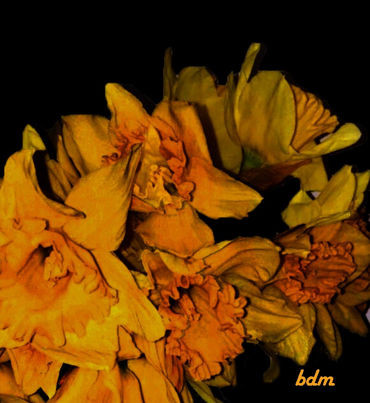 "flores de junquillos" de Beatriz Di Marzio