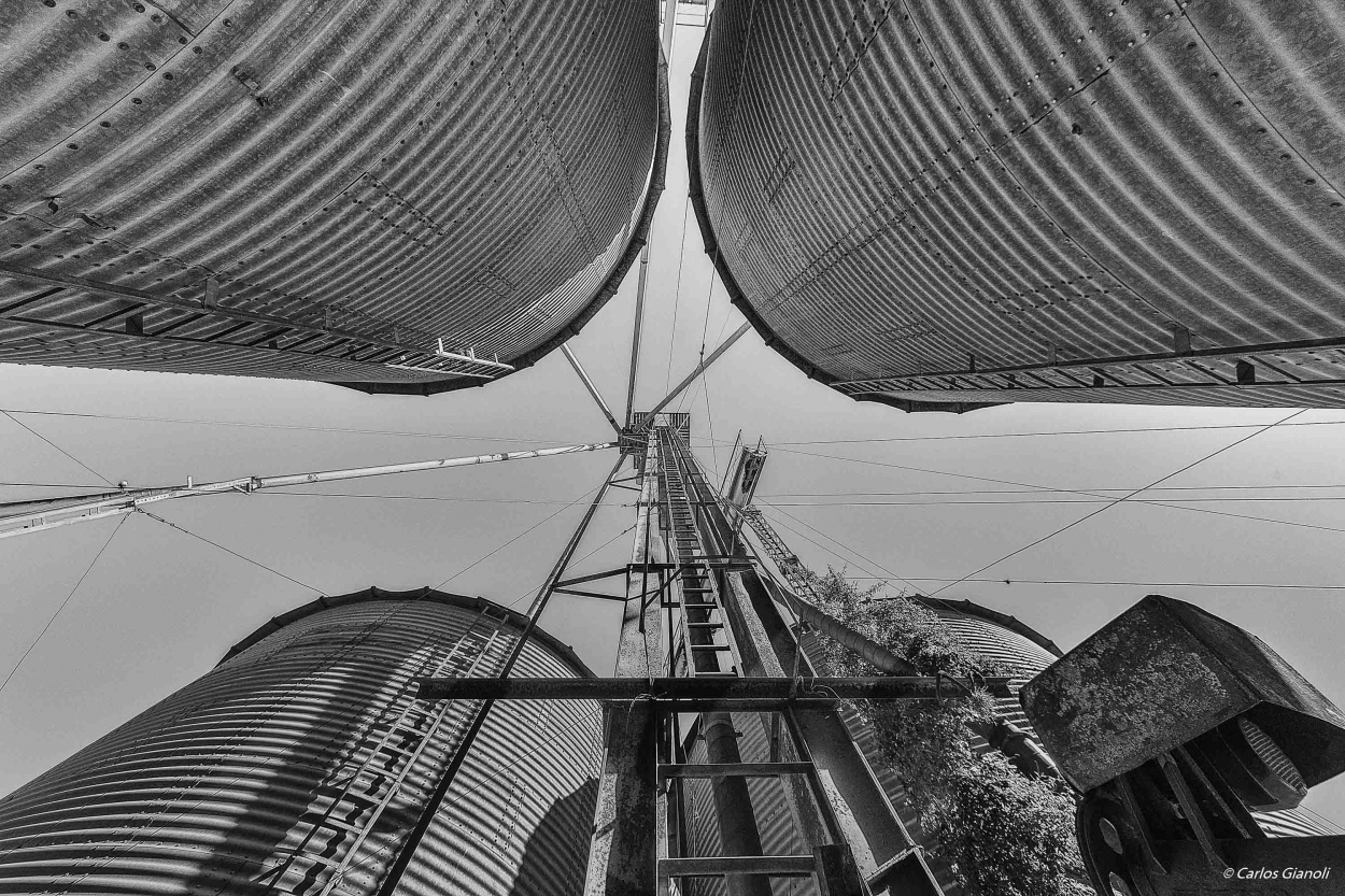 "En el silo" de Carlos Gianoli